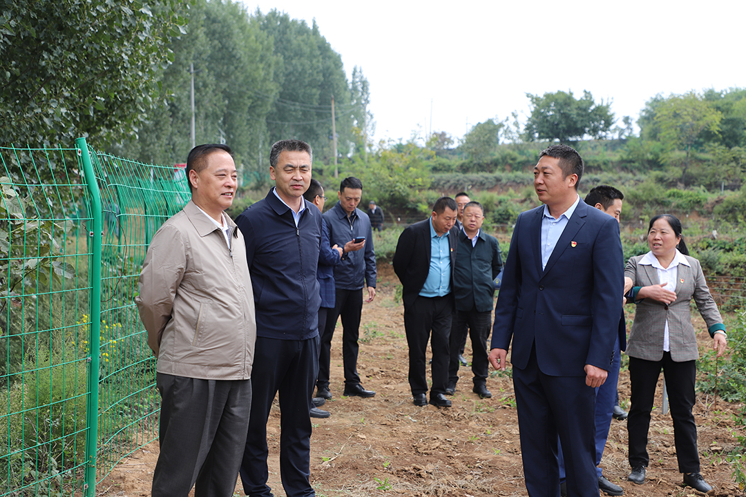 �޻ڸ�9.jpg
