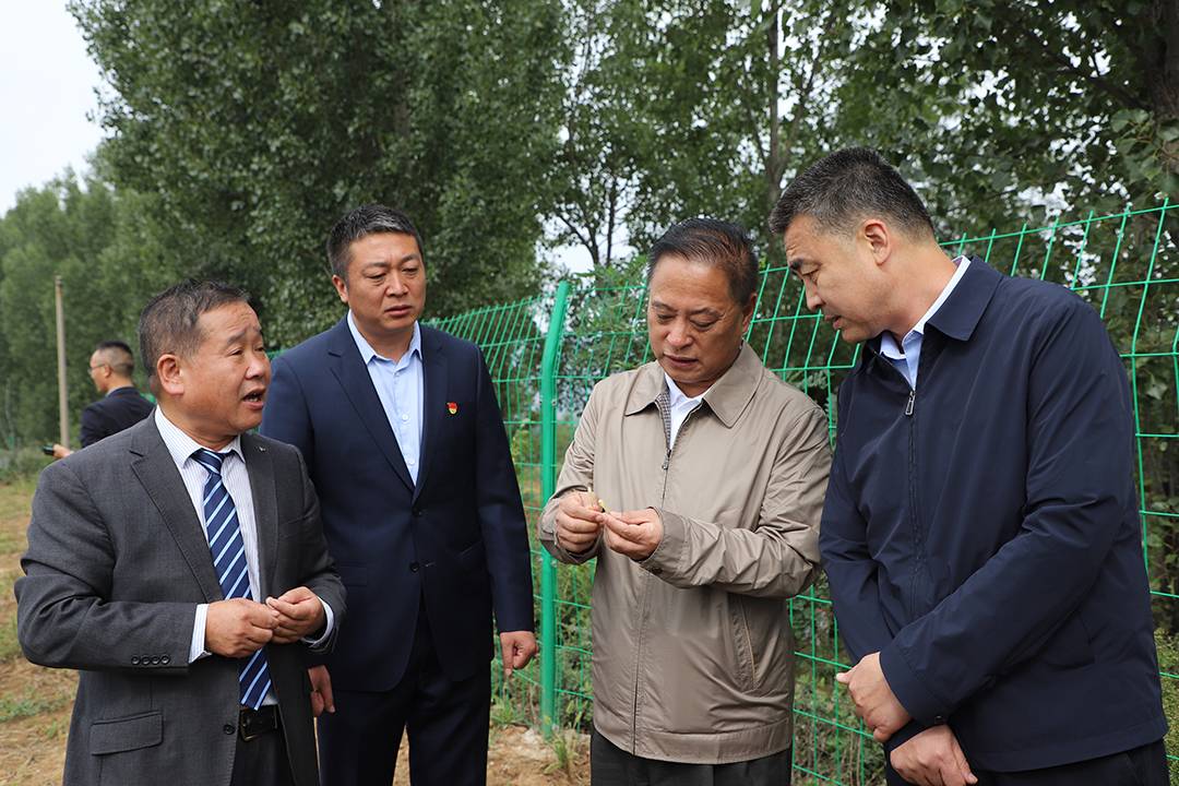 �޻ڸ�8.jpg